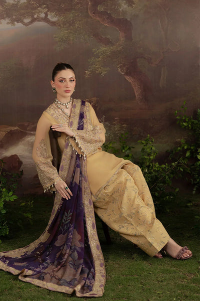 Nureh Unstiched Chiffon AM-14