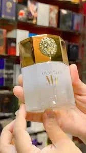 Mr Oud Plus Perfume For Unisex – 100ml | Long Lasting Oriental Oud Fragrance