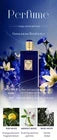 Sellion Luxury Velvet Blue Eau De Parfum 100ml – Fresh Aquatic & Long Lasting